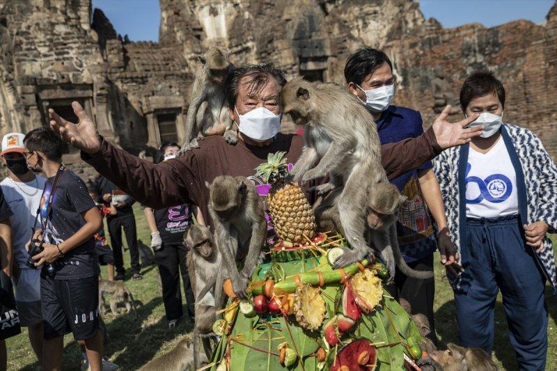 Tayland'da maymunların açık büfesi 