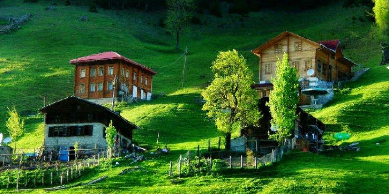 2022'de 12 aylık rota