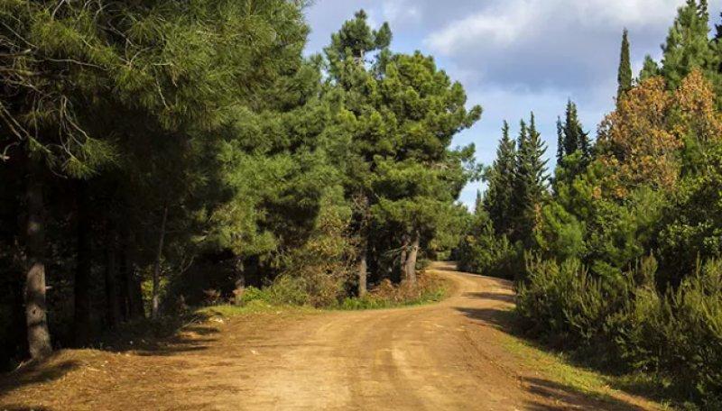 İstanbul'un yürüyüş parkurları