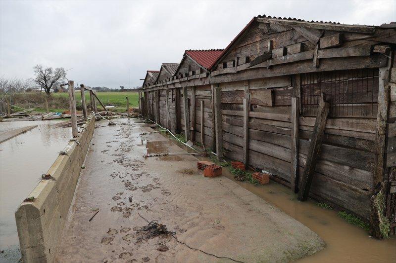 Edirne'yi vuran sel hayatı olumsuz etkiledi