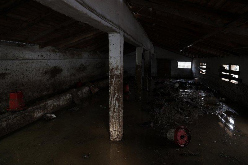 Edirne'yi vuran sel hayatı olumsuz etkiledi