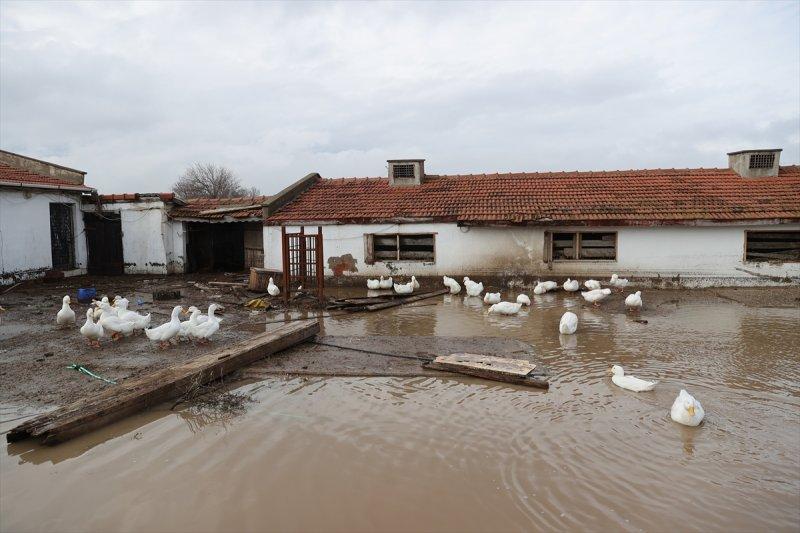 Edirne'yi vuran sel hayatı olumsuz etkiledi