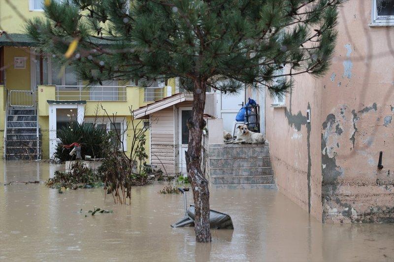Edirne'yi vuran sel hayatı olumsuz etkiledi