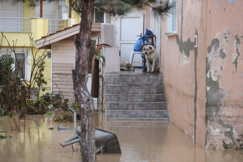 Edirne'yi vuran sel hayatı olumsuz etkiledi