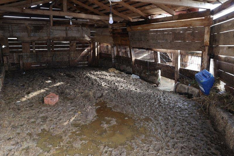 Edirne'yi vuran sel hayatı olumsuz etkiledi