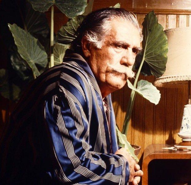 Yeşilçamın usta oyuncularının rol aldığı film sayıları