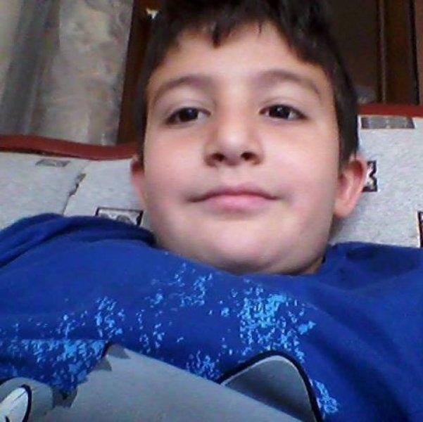 Sokak köpeklerinin görünmeyen yüzü: 20 üzücü saldırı