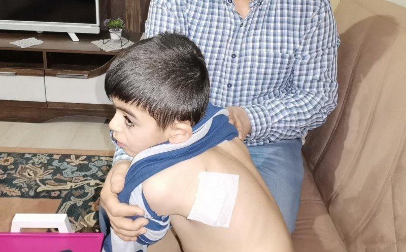 Sokak köpeklerinin görünmeyen yüzü: 20 üzücü saldırı