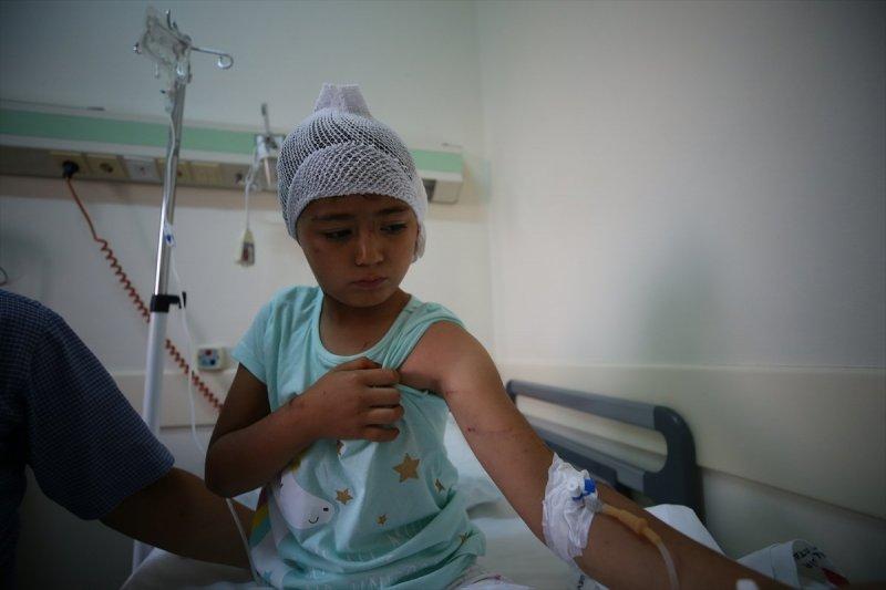 Sokak köpeklerinin görünmeyen yüzü: 20 üzücü saldırı