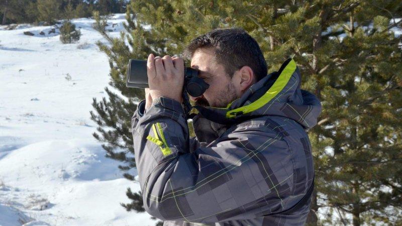 Sarıkamış kurdunun 1600 kilometrelik yolculuğu