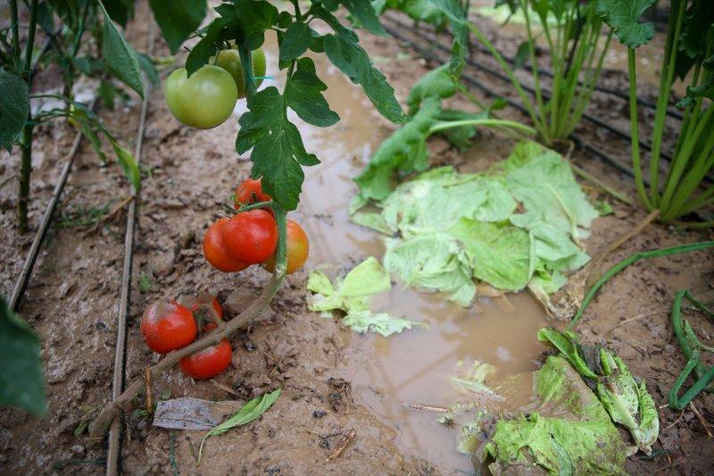 Fırtına ve sağanak yağışın vurduğu Antalya'da hasar tespit çalışmaları