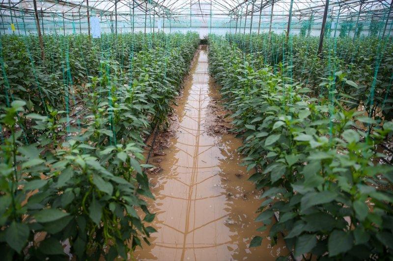 Fırtına ve sağanak yağışın vurduğu Antalya'da hasar tespit çalışmaları