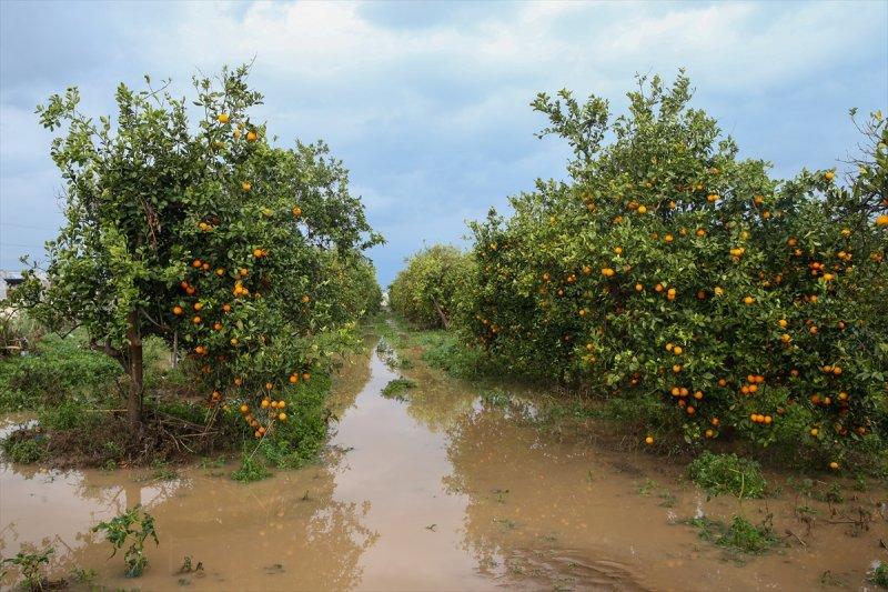 Fırtına ve sağanak yağışın vurduğu Antalya'da hasar tespit çalışmaları