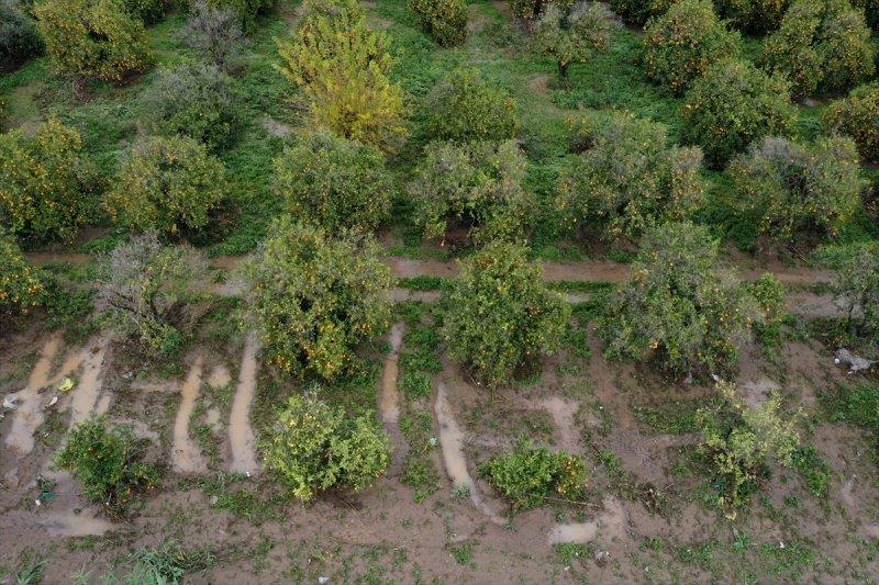 Fırtına ve sağanak yağışın vurduğu Antalya'da hasar tespit çalışmaları