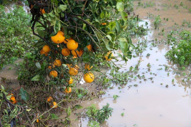 Fırtına ve sağanak yağışın vurduğu Antalya'da hasar tespit çalışmaları