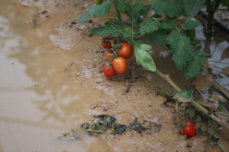 Fırtına ve sağanak yağışın vurduğu Antalya'da hasar tespit çalışmaları
