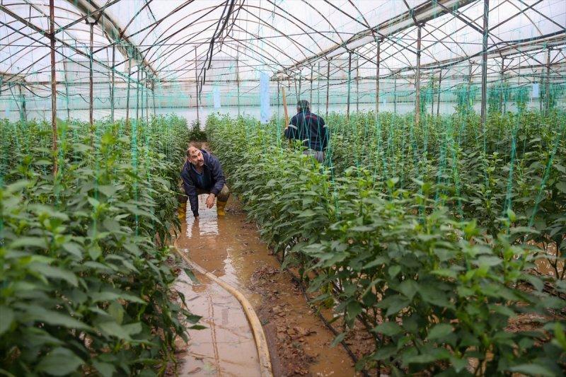 Fırtına ve sağanak yağışın vurduğu Antalya'da hasar tespit çalışmaları