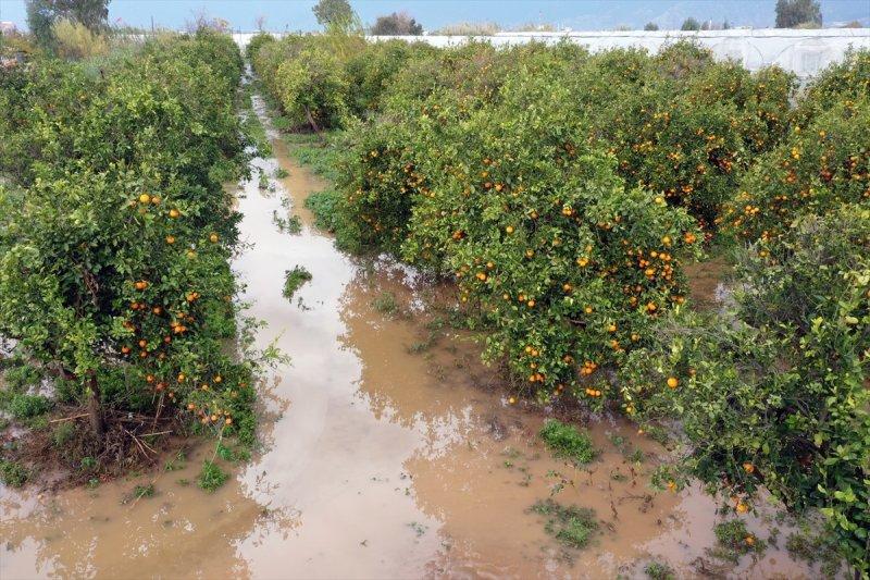 Fırtına ve sağanak yağışın vurduğu Antalya'da hasar tespit çalışmaları