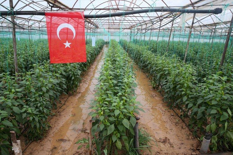 Fırtına ve sağanak yağışın vurduğu Antalya'da hasar tespit çalışmaları