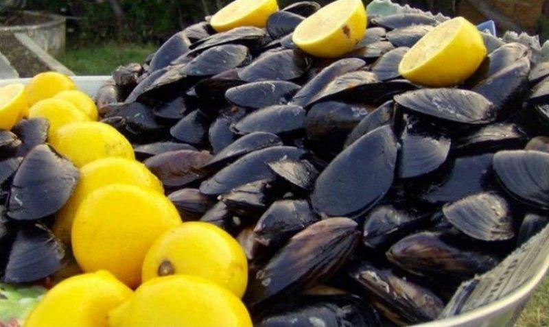 Türkiye'nin şehirlere göre sokak lezzetleri