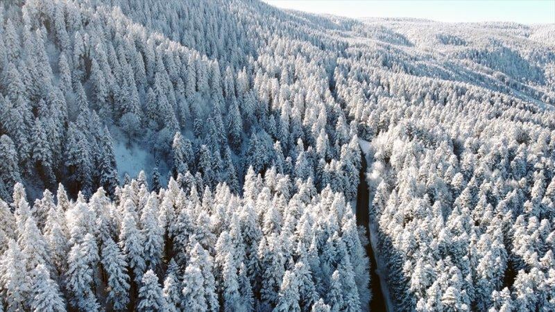 Bolu'da yağan kar görsel şölen oluşturdu