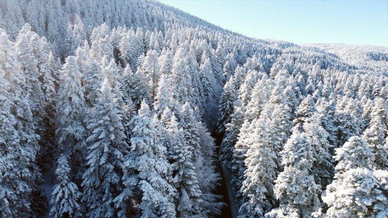 Bolu'da yağan kar görsel şölen oluşturdu