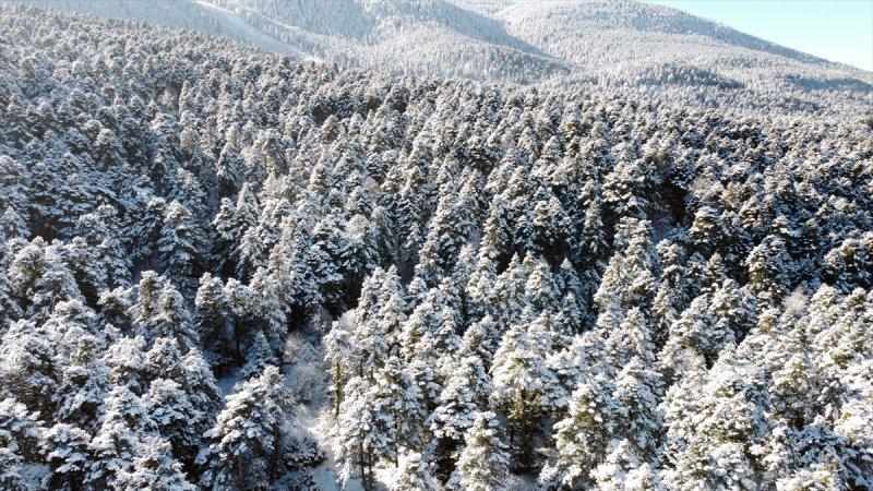 Bolu'da yağan kar görsel şölen oluşturdu
