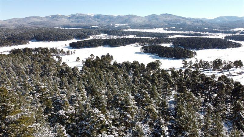 Bolu'da yağan kar görsel şölen oluşturdu