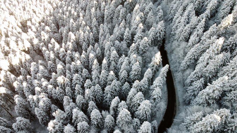 Bolu'da yağan kar görsel şölen oluşturdu