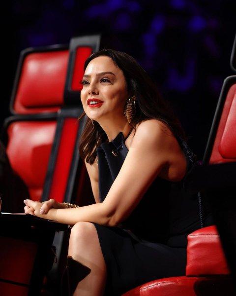 Ünlü isimlerin siyasi görüşü