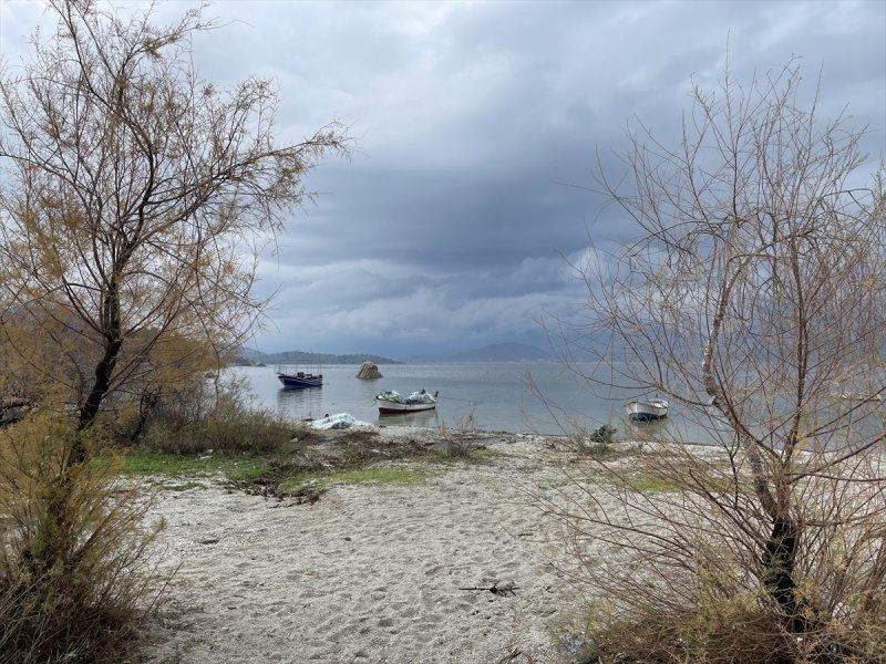 Yağışlar nedeniyle kendine gelen Bafa Gölü'nde bahar manzaraları