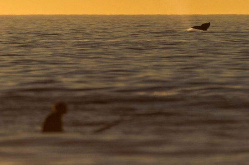 Haftanın en çok beğenilen ve paylaşılan kareleri