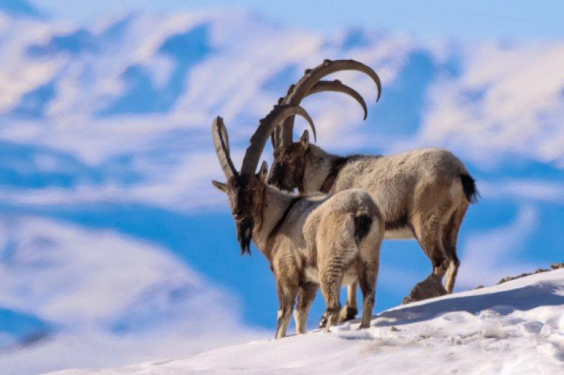 Haftanın en çok beğenilen ve paylaşılan kareleri