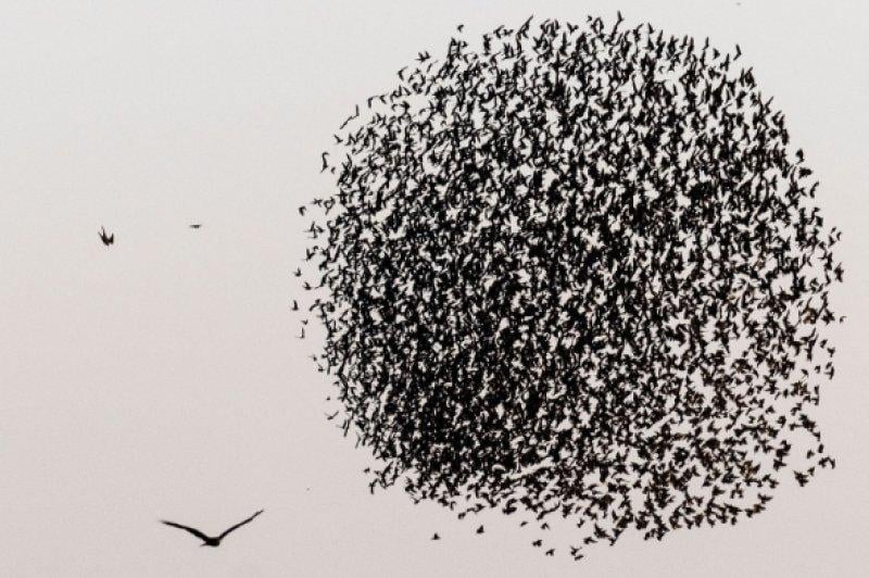 Haftanın en çok beğenilen ve paylaşılan kareleri