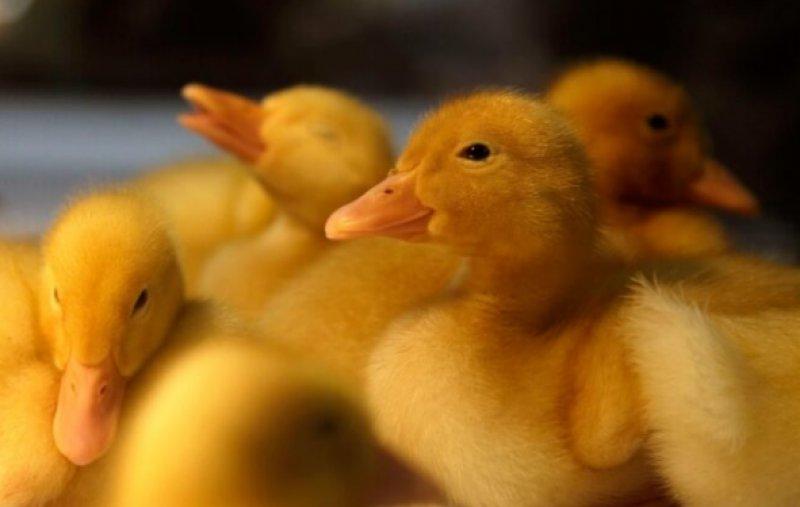 Haftanın en çok beğenilen ve paylaşılan kareleri