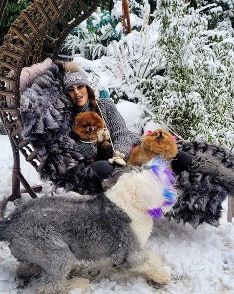 Ünlülerin kar paylaşımları