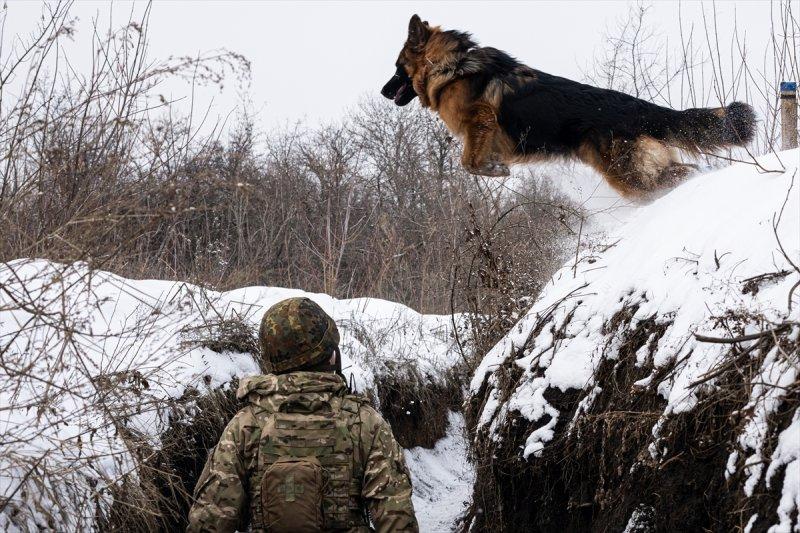 Zolote bölgesindeki Ukrayna askerleri