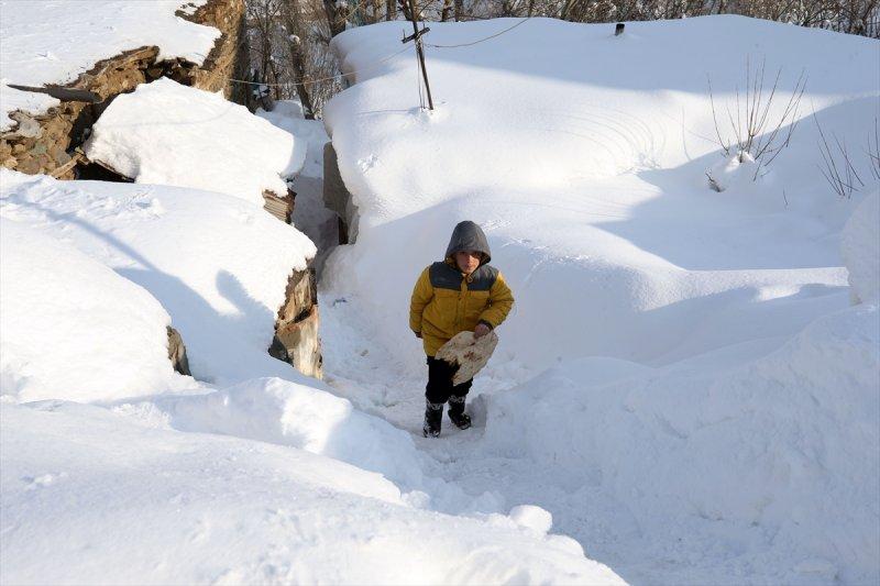 Muş'ta kara gömülen evlerde hayat