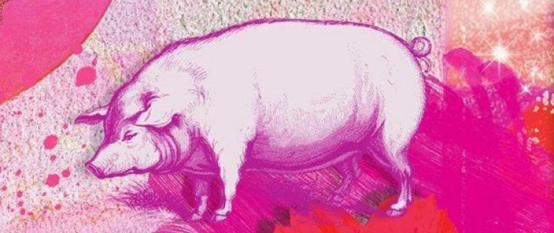 Çin astrolojisine göre burçlar ve özellikleri