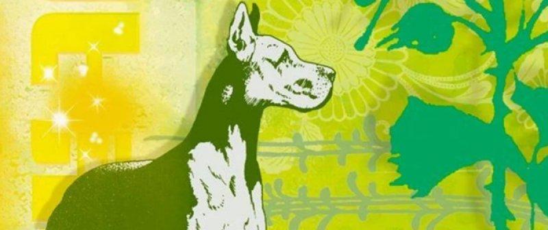 Çin astrolojisine göre burçlar ve özellikleri