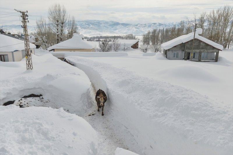 Ovacık'taki çiftçilerin 2 metrelik kar bereketinden manzaralar