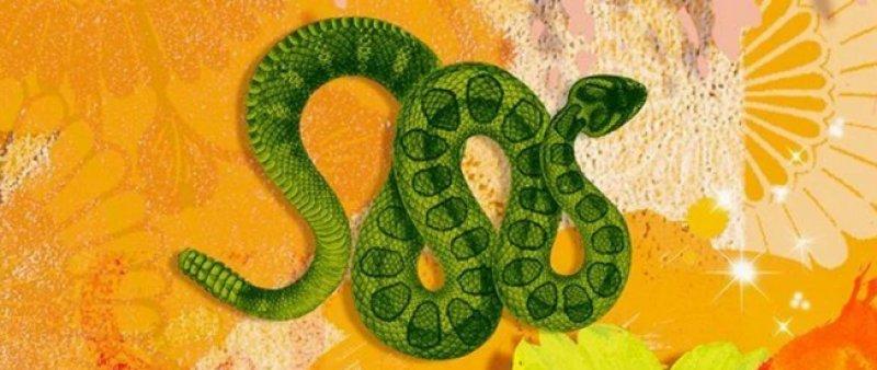 Çin astrolojisine göre burçlar ve özellikleri