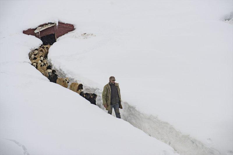 Ovacık'taki çiftçilerin 2 metrelik kar bereketinden manzaralar