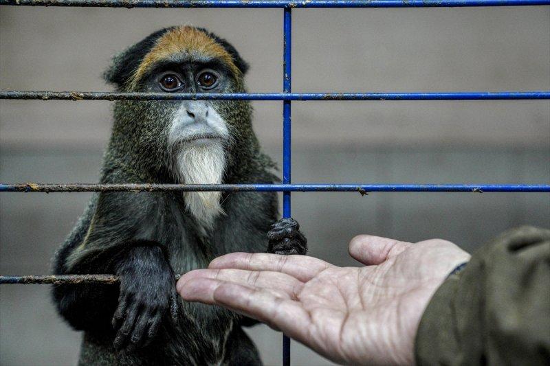Moskova'da yaban hayatın sürdürülebilirliği için çalışmalar yapılıyor