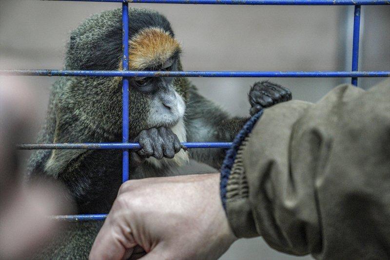 Moskova'da yaban hayatın sürdürülebilirliği için çalışmalar yapılıyor