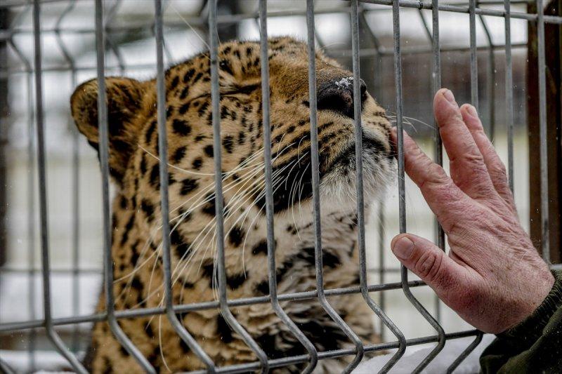 Moskova'da yaban hayatın sürdürülebilirliği için çalışmalar yapılıyor