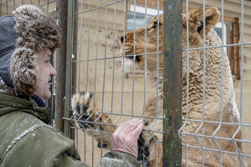 Moskova'da yaban hayatın sürdürülebilirliği için çalışmalar yapılıyor