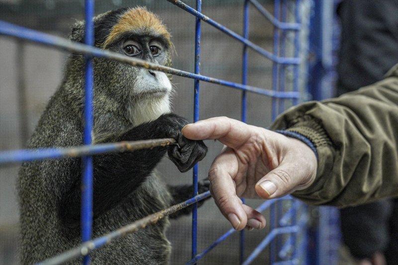 Moskova'da yaban hayatın sürdürülebilirliği için çalışmalar yapılıyor