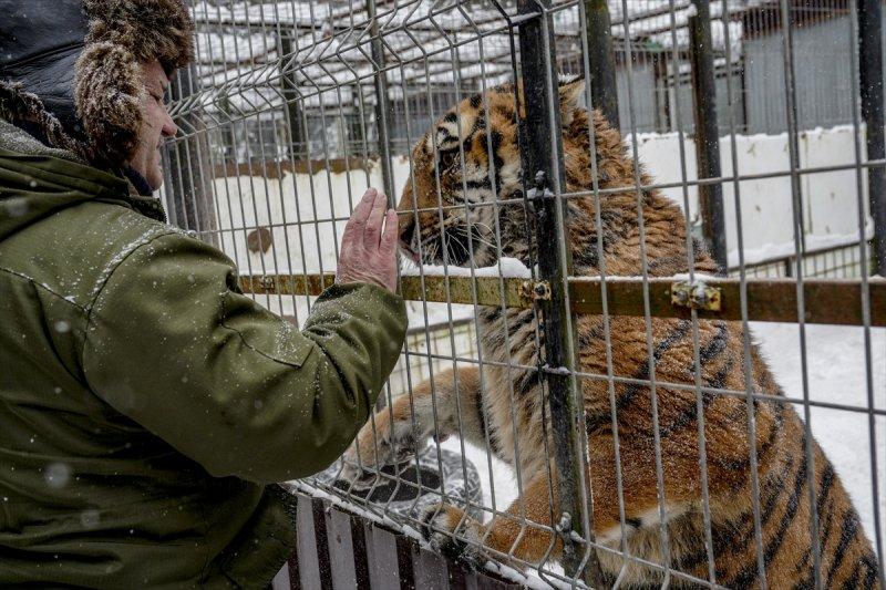 Moskova'da yaban hayatın sürdürülebilirliği için çalışmalar yapılıyor