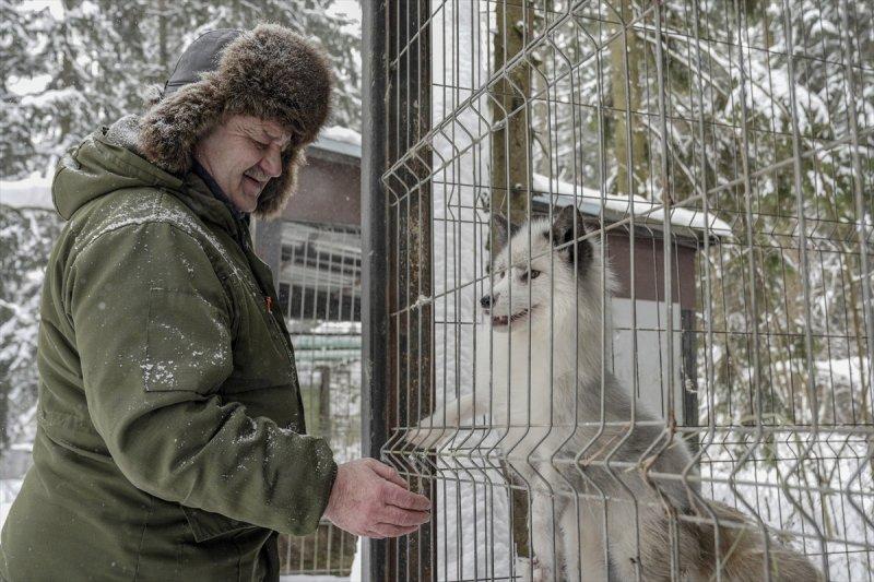 Moskova'da yaban hayatın sürdürülebilirliği için çalışmalar yapılıyor